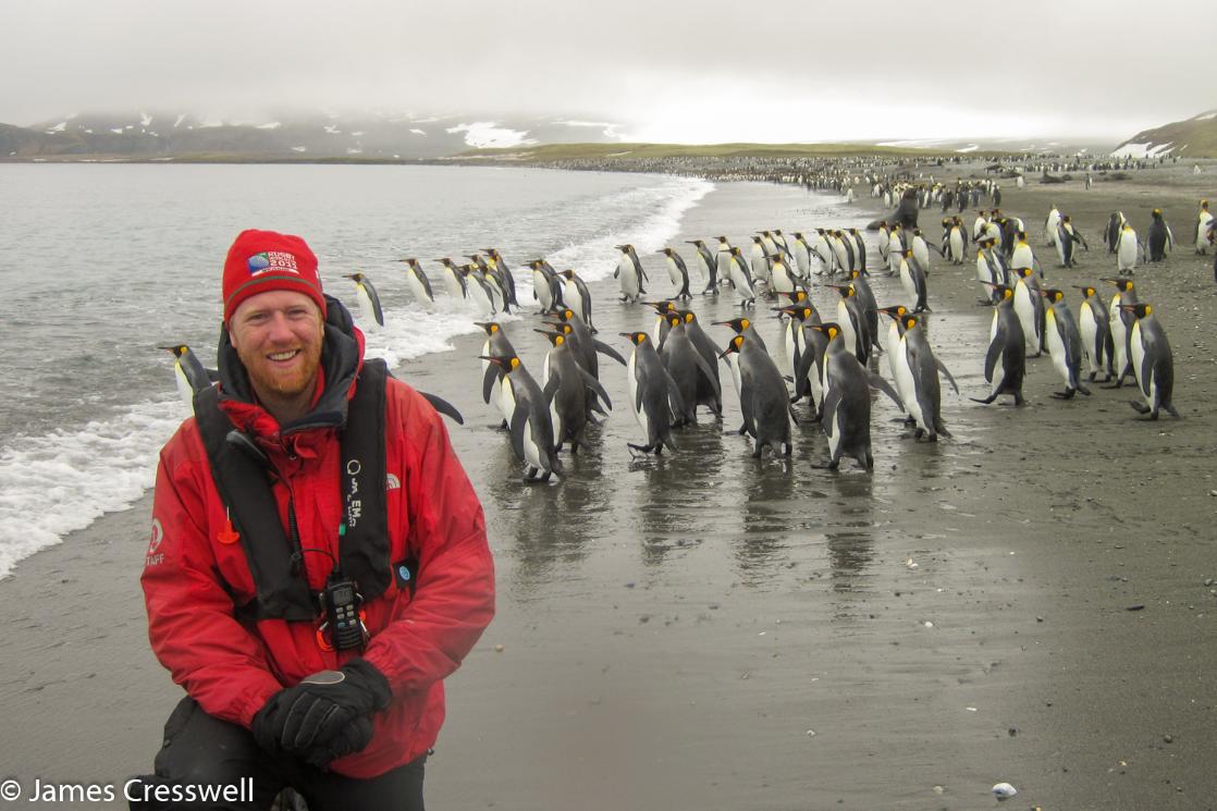 A photograph of James Cresswell with King Penguins in in South Georgia