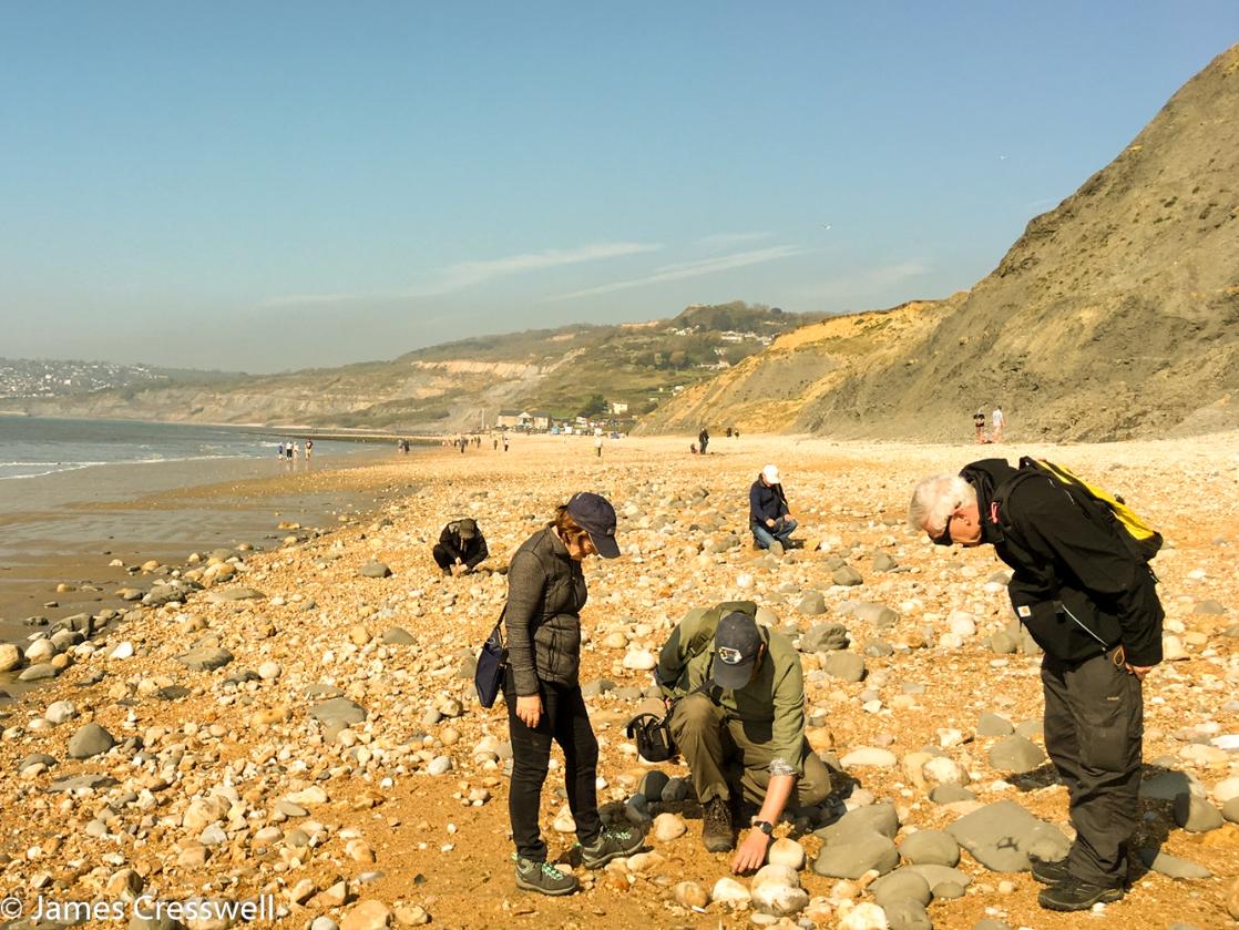 A photograph of three people lokking for fossils on the Jurassic Coast World Heritage Site on a GeoWorld Travel England geology and fossil trip, tour and holiday
