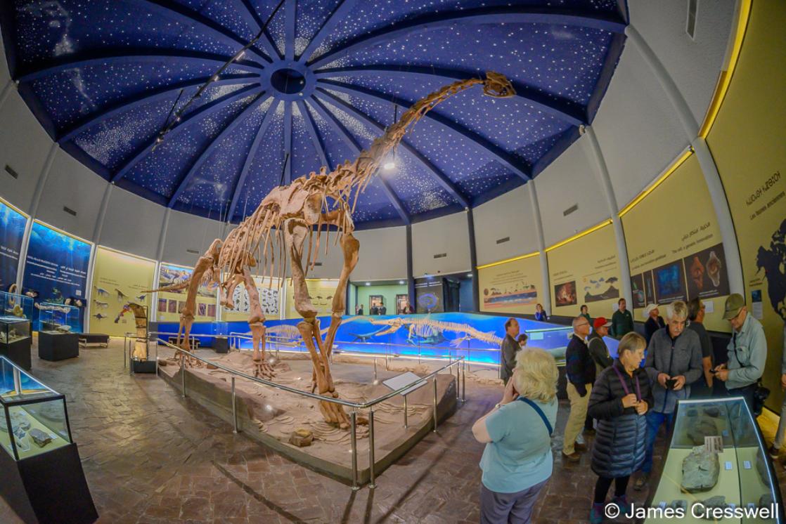 Photo of Altasaurus Azilal museum M'Goun Geopark