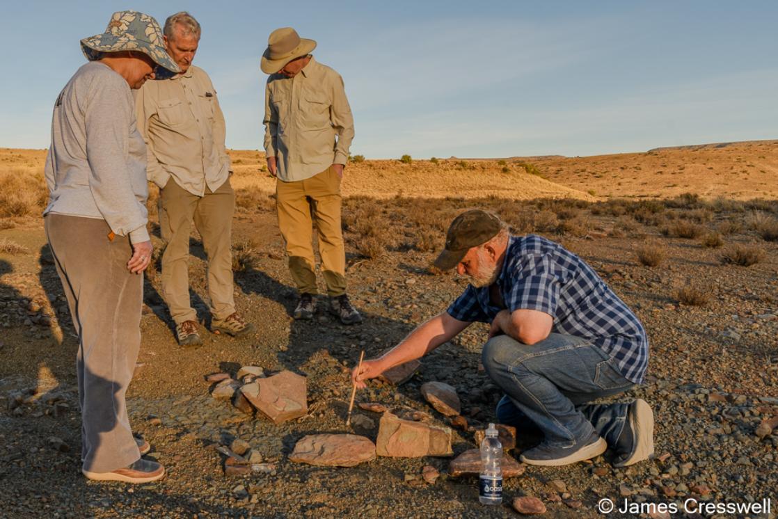 A photograph of  JP Steynberg takes us to his fossil discovery sites and shows up Permian fossil remains that are still lying in situ.