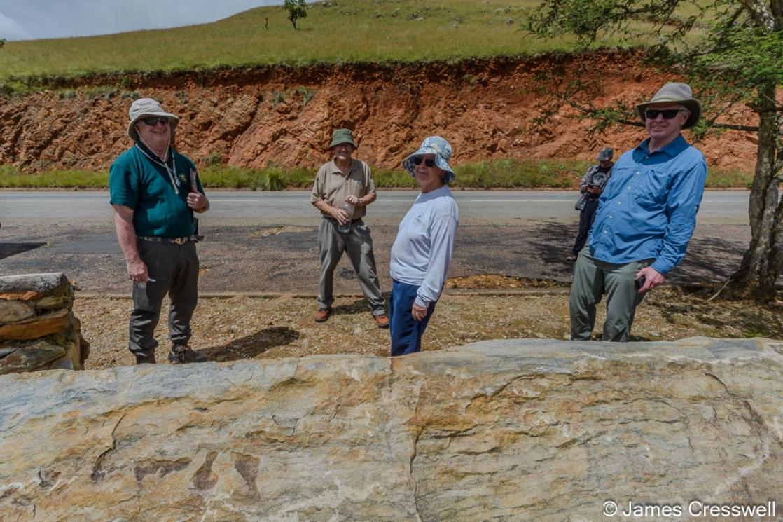  A photograph of the earliest evidence of life on Earth visible to the naked eye! They are remnants of 3.2 billion year old algal mats, seen on the Barberton Makhonjwa GeoTrail.